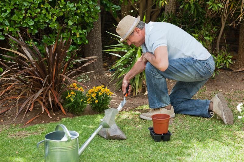 Outdoor Beautification