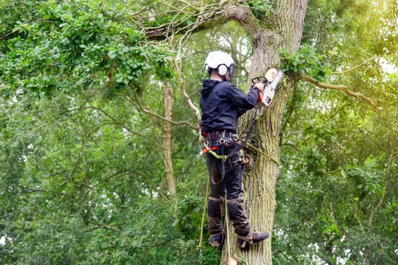 Tree Care Professionals